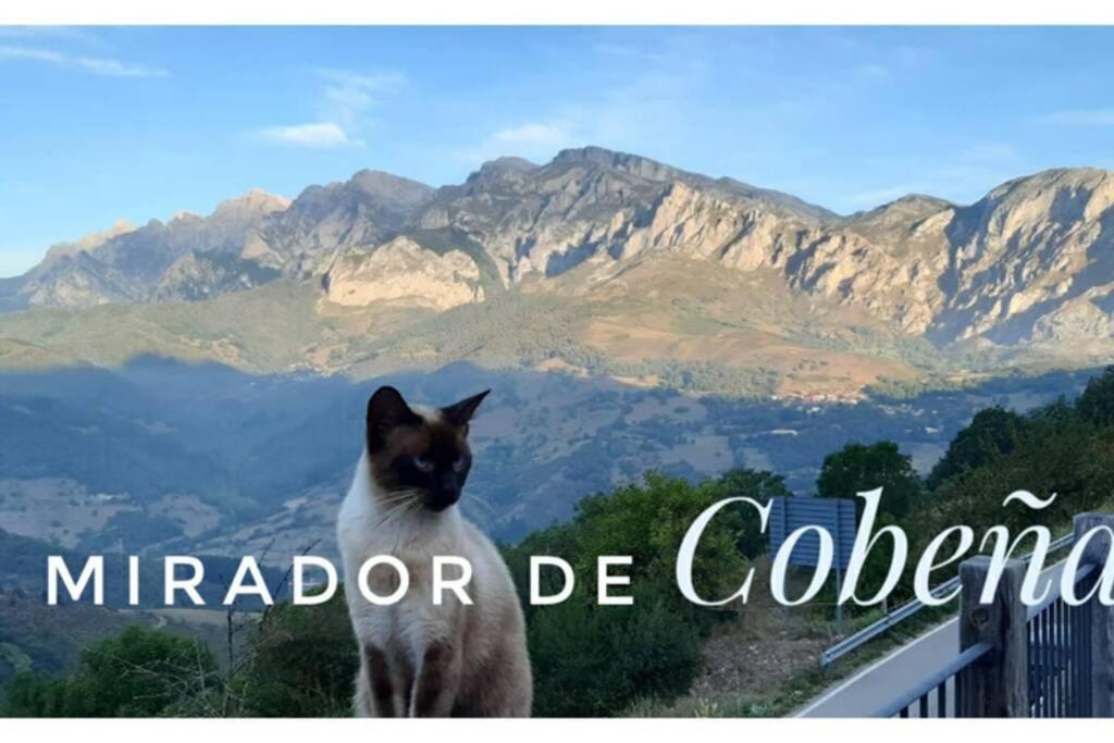 Ferienwohnung El Mirador De Cobena Ii. Aires De Liebana En Picos Exterior foto